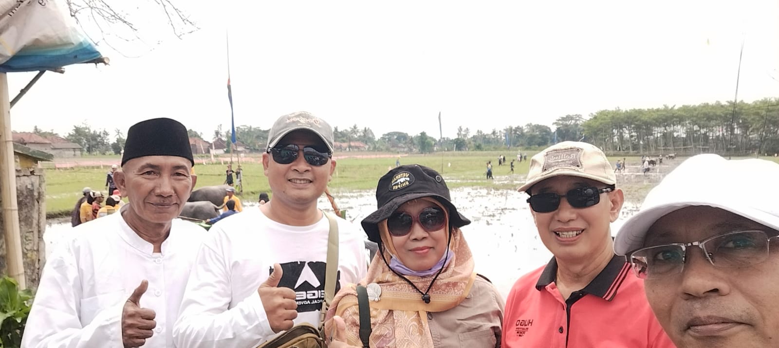 Kegiatan Kerapan Kerbau